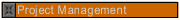 Project Management